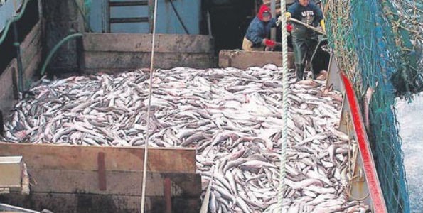 Bruselas propone modificar las cuotas de pesca